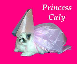 caly_princess2.jpg (30317 bytes)